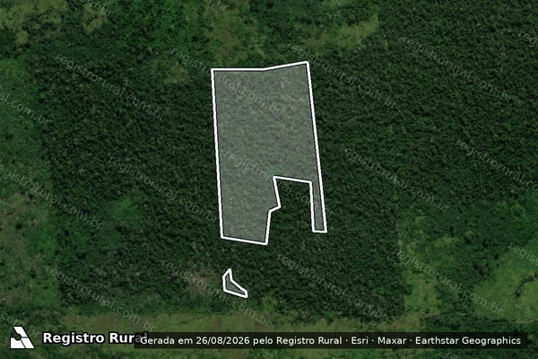 Imagem de satélite de Infração Ambiental em Lábrea - AM