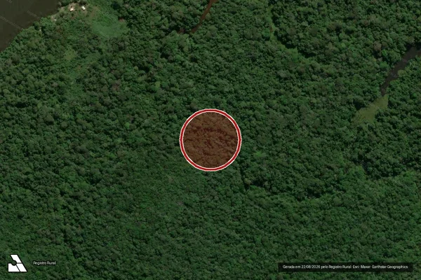 Imagem de satélite — Embargo IBAMA — Infração Ambiental - Chupinguaia/RO