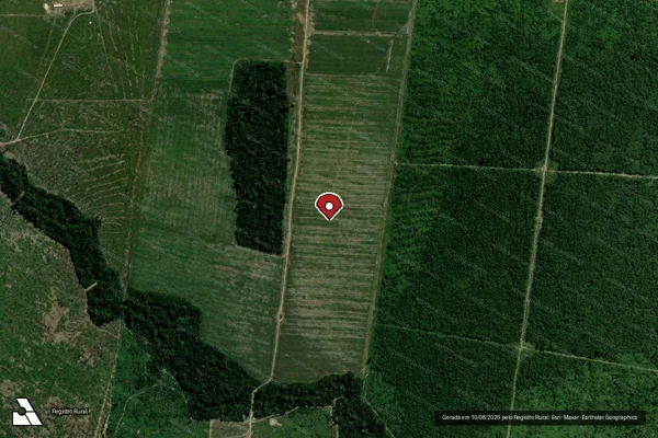 Imagem de satélite de Infração Ambiental em Porto Velho - RO (marcador da localização)