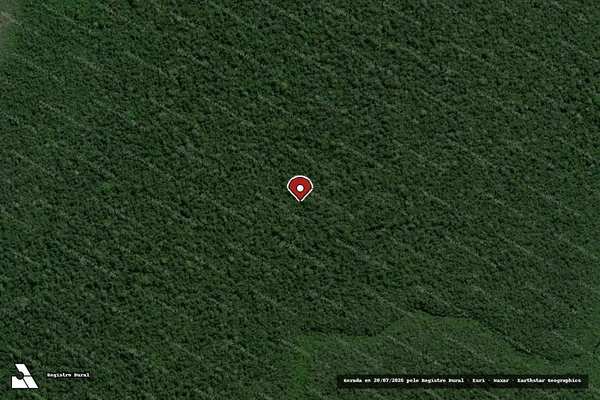 Imagem de satélite de Infração Ambiental em Colniza - MT (marcador da localização)