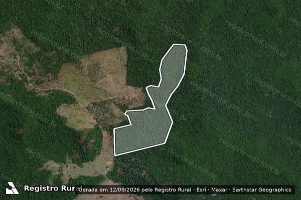 Imagem de satélite de Infração da Flora em Altamira - PA