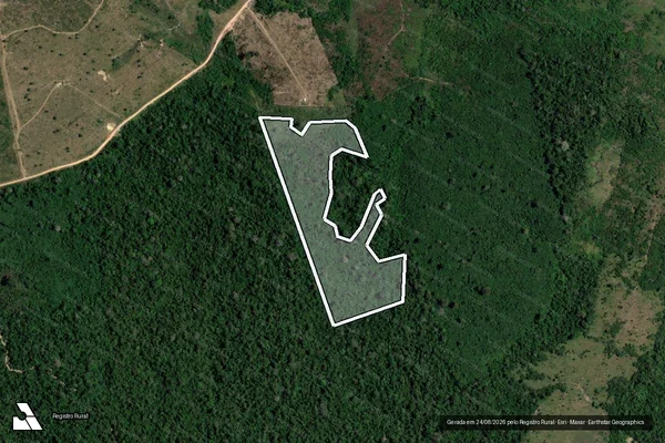 Imagem de satélite de Infração da Flora em Trairão - PA