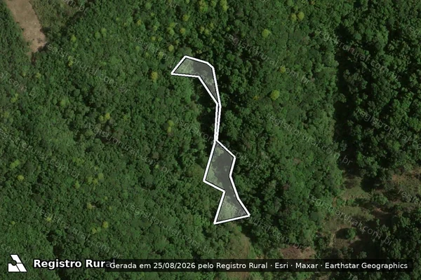 Imagem de satélite de Infração Ambiental em Quebrangulo - AL