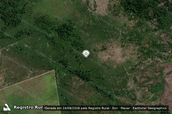 Imagem de satélite de Infração da Flora em Altamira - PA (marcador da localização)