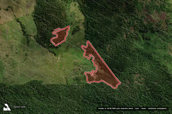 Imagem de satélite de Infração da Flora em Campo Novo de Rondônia - RO