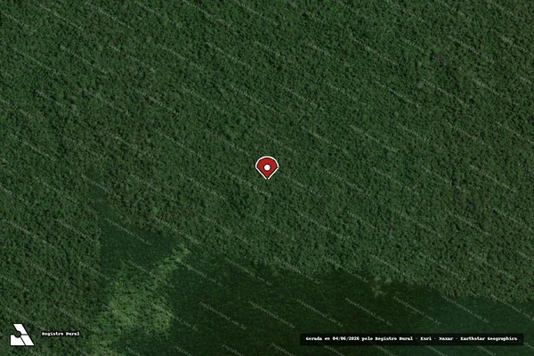 Imagem de satélite — Embargo IBAMA — Infração da Flora — Cantá/RR