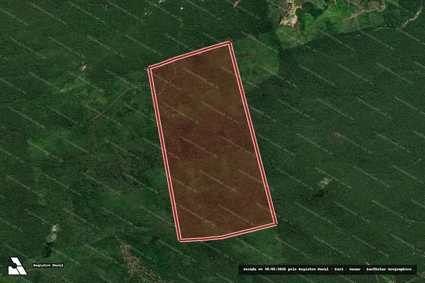 Imagem de satélite — Embargo IBAMA — Infração da Flora — Itaituba/PA
