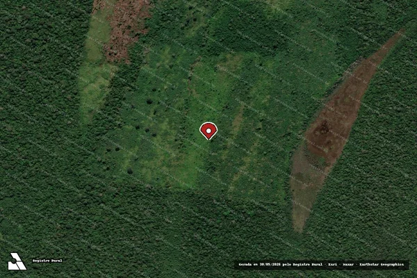 Imagem de satélite — Embargo IBAMA — Infração da Flora — Humaitá/AM
