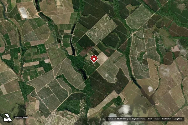 Imagem de satélite de Infração da Flora em Jaguaré - ES (marcador da localização)