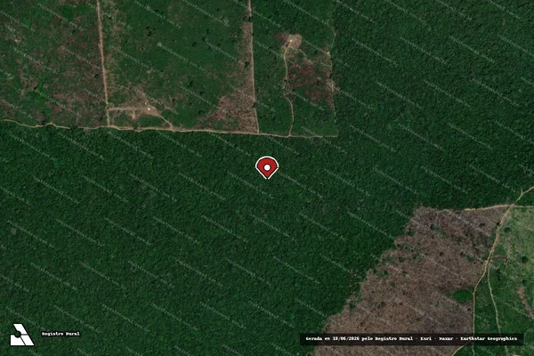 Imagem de satélite de Infração da Flora em Lábrea - AM (marcador da localização)