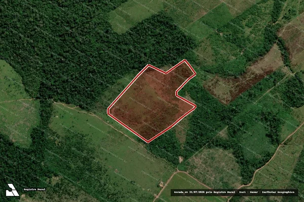 Imagem de satélite de Infração Ambiental em Apuí - AM