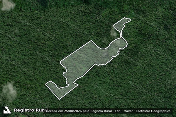 Imagem de satélite de Infração da Flora em Portel - PA