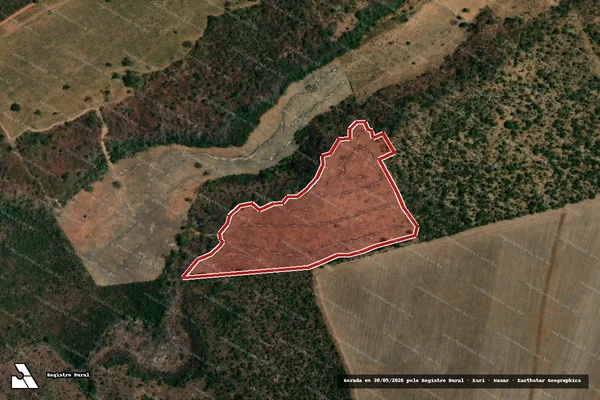 Imagem de satélite de Infração da Flora em Baixa Grande do Ribeiro - PI