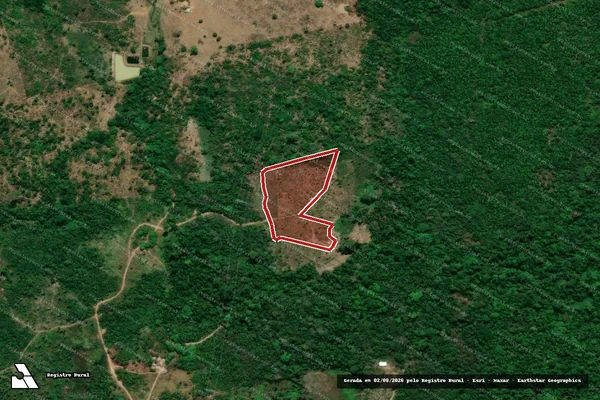 Imagem de satélite de Infração da Flora em Novo Repartimento - PA