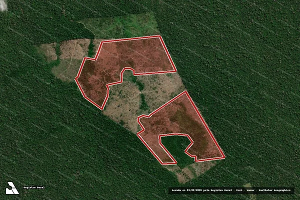 Imagem de satélite de Infração da Flora em Altamira - PA