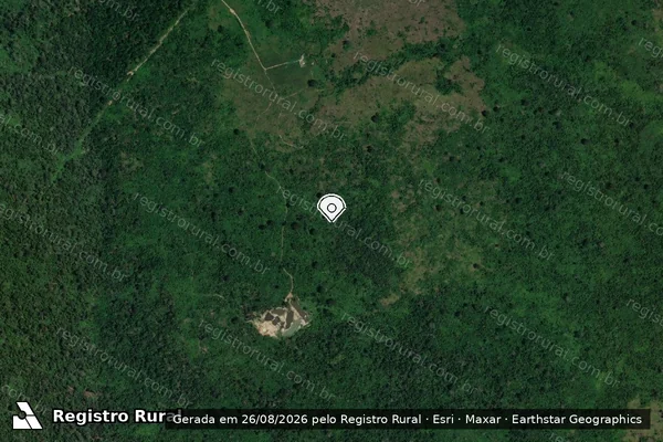 Imagem de satélite de Infração da Flora em Altamira - PA (marcador da localização)