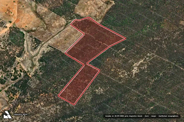Imagem de satélite — Embargo IBAMA — Infração da Flora — Saboeiro/CE