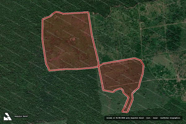 Imagem de satélite de Infração Ambiental em Lábrea - AM
