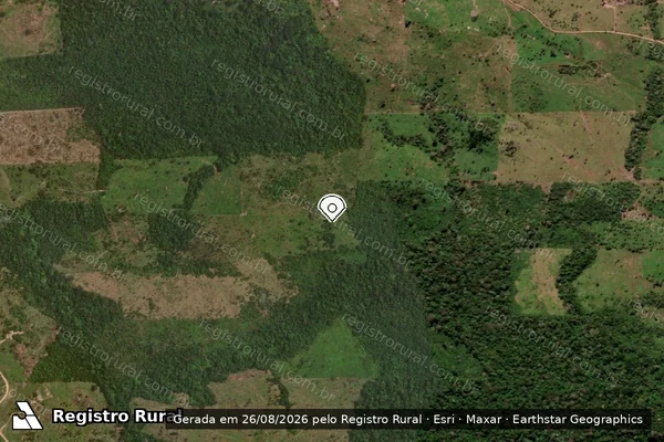 Imagem de satélite de Infração da Flora em Aripuanã - MT (marcador da localização)