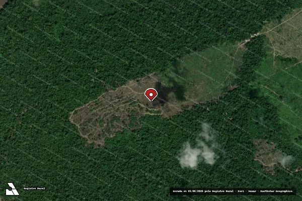 Imagem de satélite de Infração Ambiental em Novo Progresso - PA (marcador da localização)