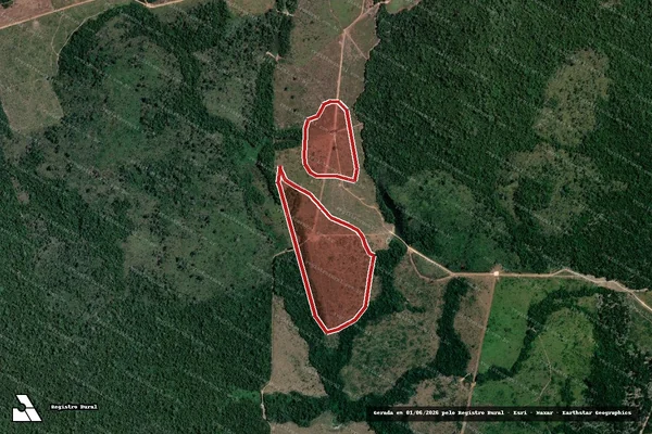 Imagem de satélite de Infração Ambiental em Altamira - PA