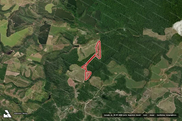 Imagem de satélite de Infração da Flora em Santa Cruz Cabrália - BA
