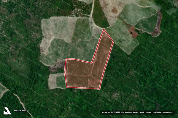 Imagem de satélite — Embargo IBAMA — Infração da Flora - Baía da Traição/PB