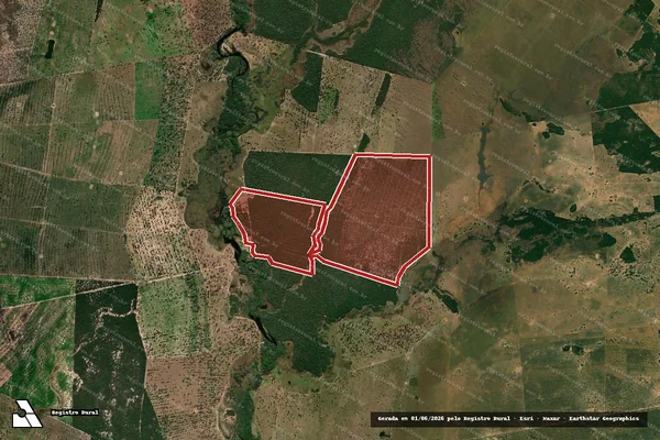 Imagem de satélite de Desmatamento em Rio Verde de Mato Grosso - MS