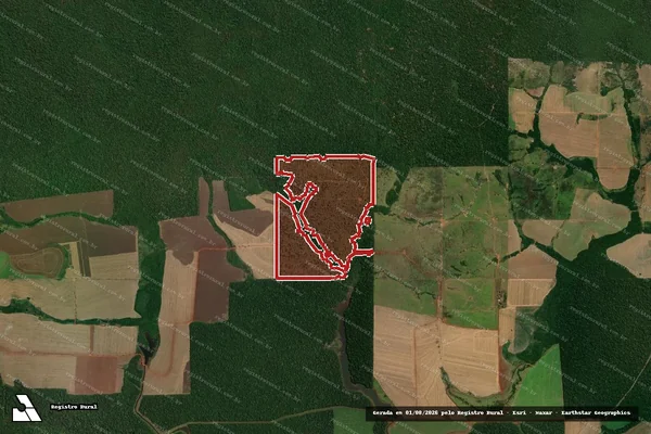 Imagem de satélite — Embargo IBAMA — Infração da Flora — Pimenteiras Do Oeste/RO