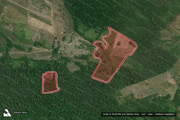 Imagem de satélite de Infração da Flora em Alenquer - PA