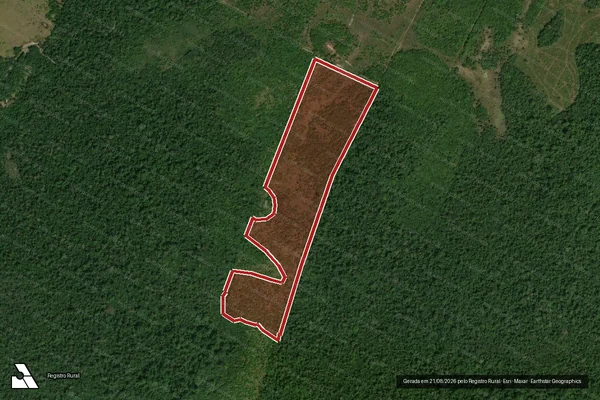 Imagem de satélite de Infração Ambiental em Caracaraí - RR