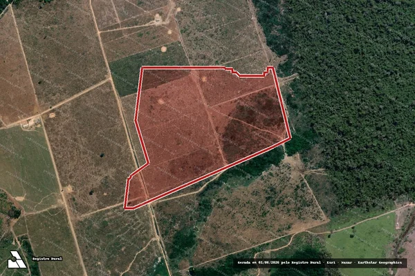 Imagem de satélite de Infração da Flora em Novo Progresso - PA