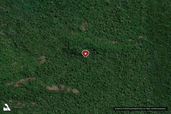Imagem de satélite de Infração Ambiental em São Félix do Xingu - PA (marcador da localização)