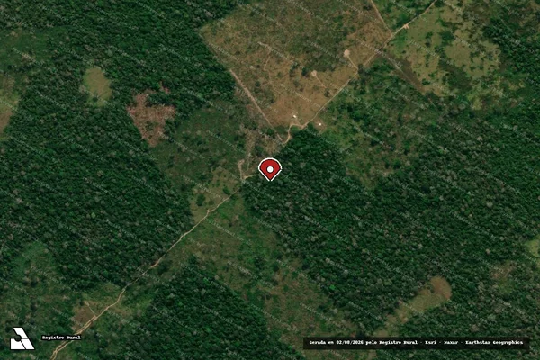Imagem de satélite de Infração da Flora em Boca do Acre - AM (marcador da localização)
