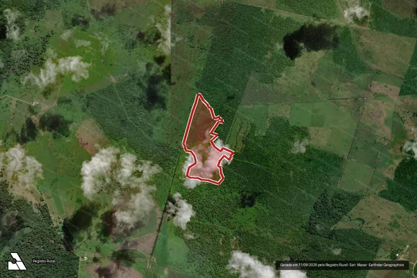 Imagem de satélite — Embargo IBAMA — Infração da Flora - Canavieiras/BA