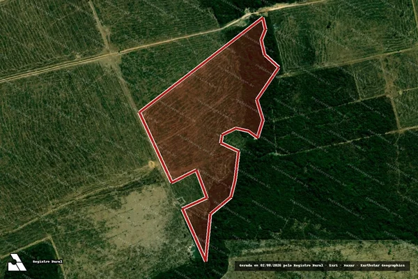 Imagem de satélite de Infração da Flora em Santa Cruz do Xingu - MT