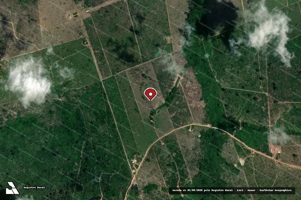 Imagem de satélite de Infração da Flora em Novo Progresso - PA (marcador da localização)