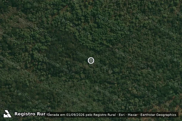 Imagem de satélite de Infração da Flora em Cruz Machado - PR