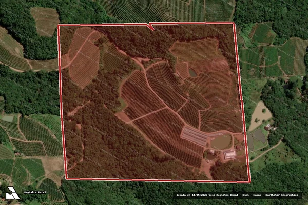 Imagem de satélite de Infração da Flora em Caxias do Sul - RS