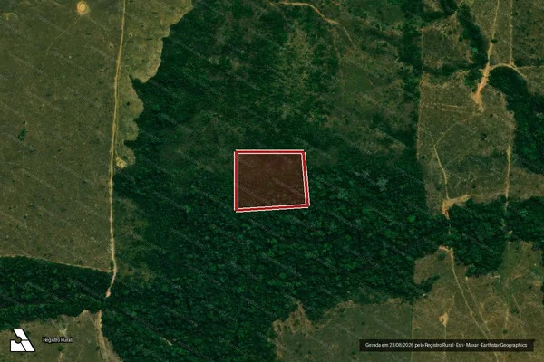 Imagem de satélite de Desmatamento em Porto Velho - RO