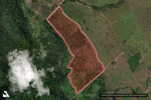 Imagem de satélite de Infração da Flora em São Félix do Xingu - PA