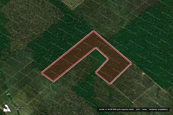 Imagem de satélite de Infração Ambiental em Porto Velho - RO