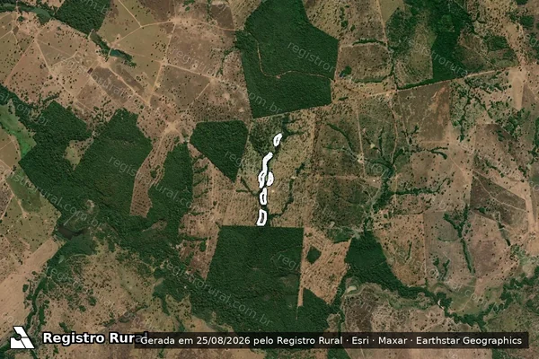 Imagem de satélite de Infração da Flora em Araguapaz - GO