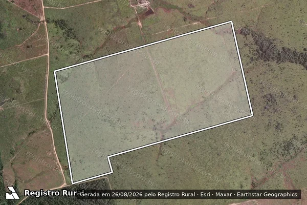 Imagem de satélite de Infração da Flora em Novo Progresso - PA
