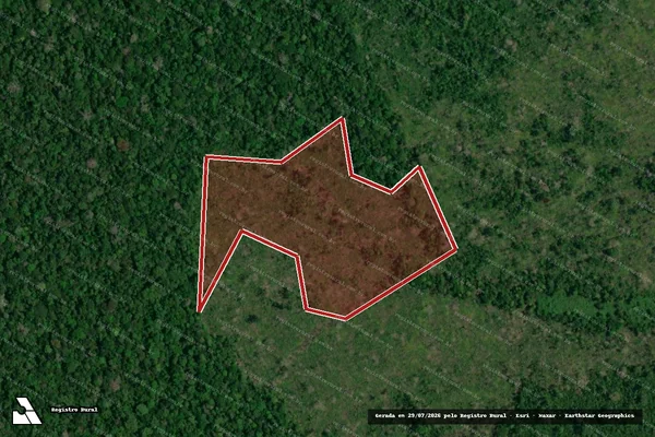 Imagem de satélite de Infração da Flora em Pacaraima - RR