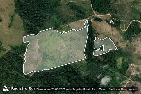 Imagem de satélite de Infração da Flora em Trairão - PA