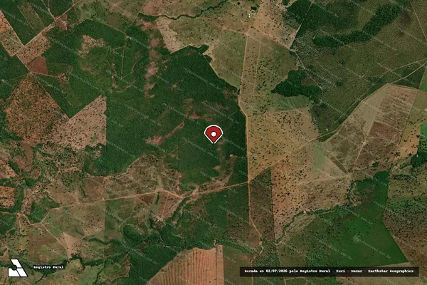 Imagem de satélite de Infração da Flora em Bom Jesus do Araguaia - MT (marcador da localização)
