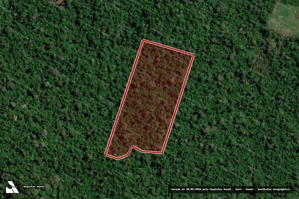 Imagem de satélite de Infração Ambiental em Anapu - PA