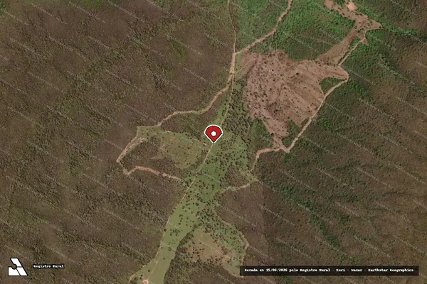 Imagem de satélite — Embargo IBAMA — Infração da Flora — Parnaguá/PI