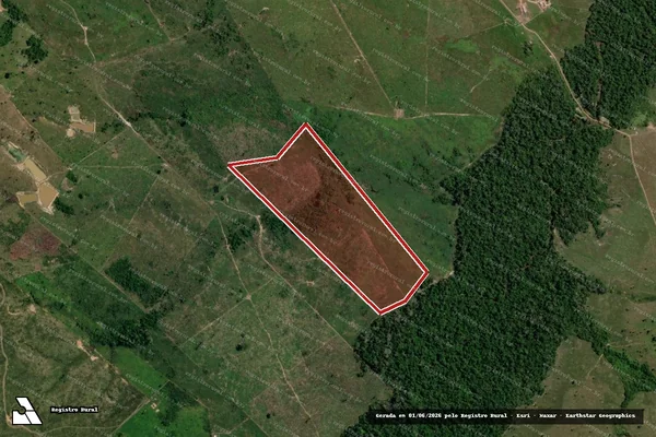 Imagem de satélite de Infração da Flora em Lábrea - AM